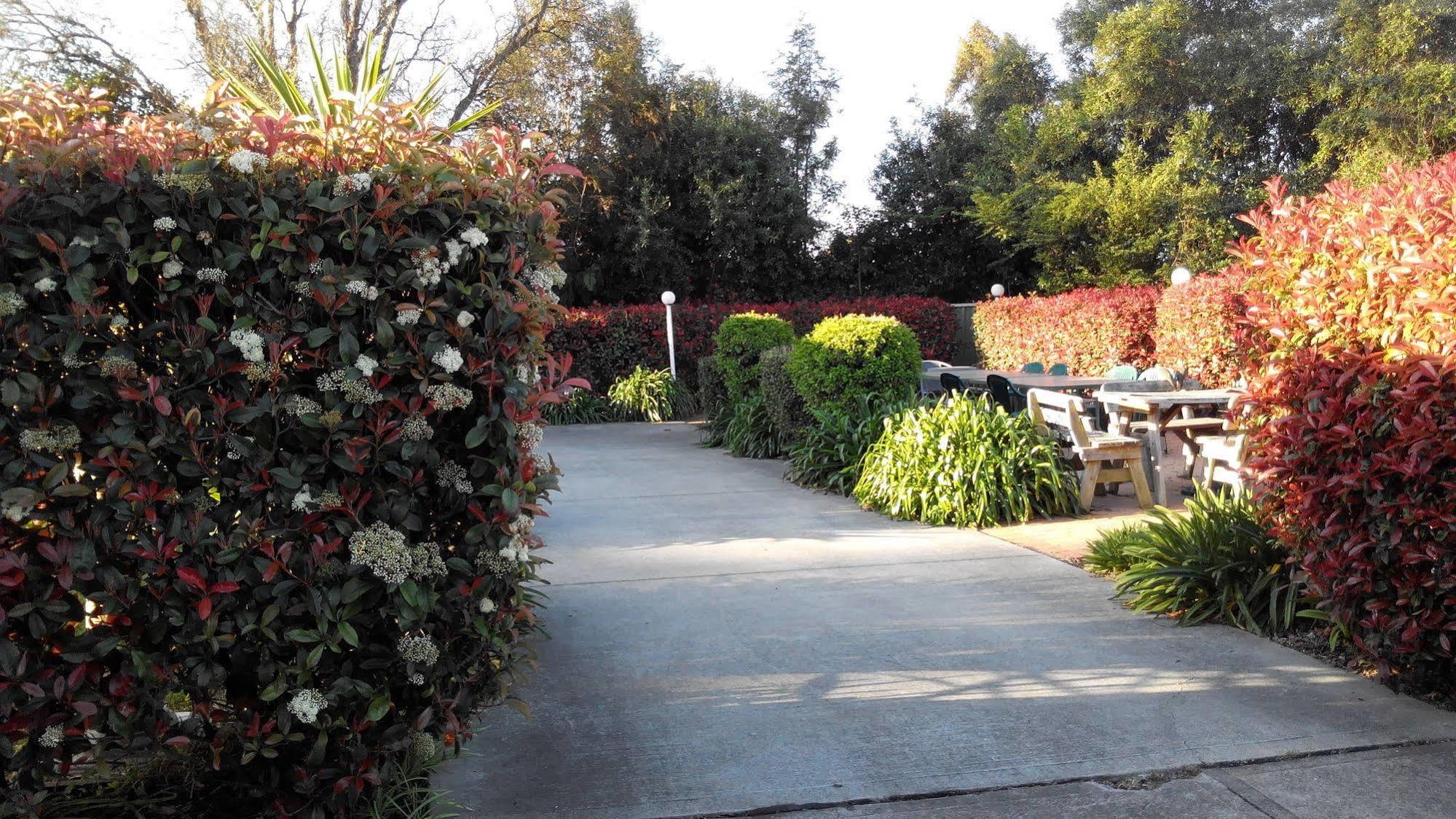Branxton House Motel מראה חיצוני תמונה